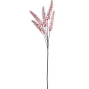 Bloem Phytolacca Roze