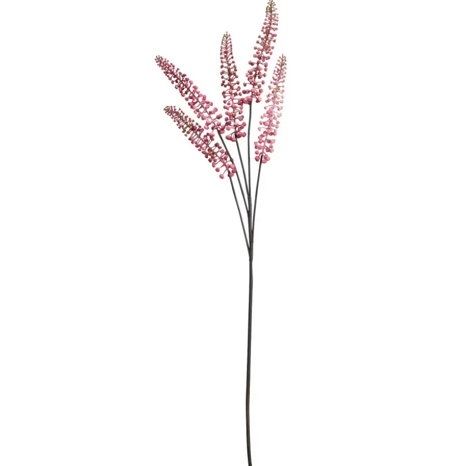 Bloem Phytolacca Roze