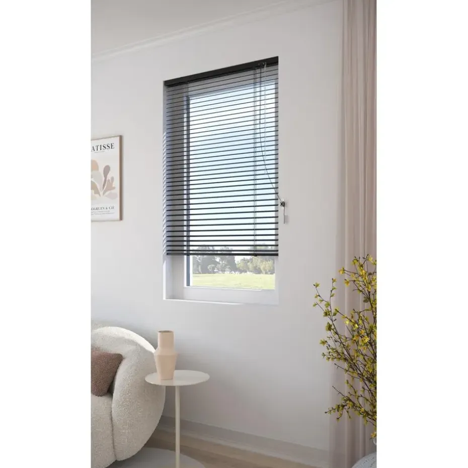 Fenstr Aluminium Jaloezie Alix Zwart 25mm