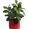 Kunstplant Stilo Rood/Groen