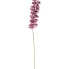 Kunsttak Orchidee Aubergine