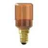 Led Glassfiber T30X70 E14 Goud