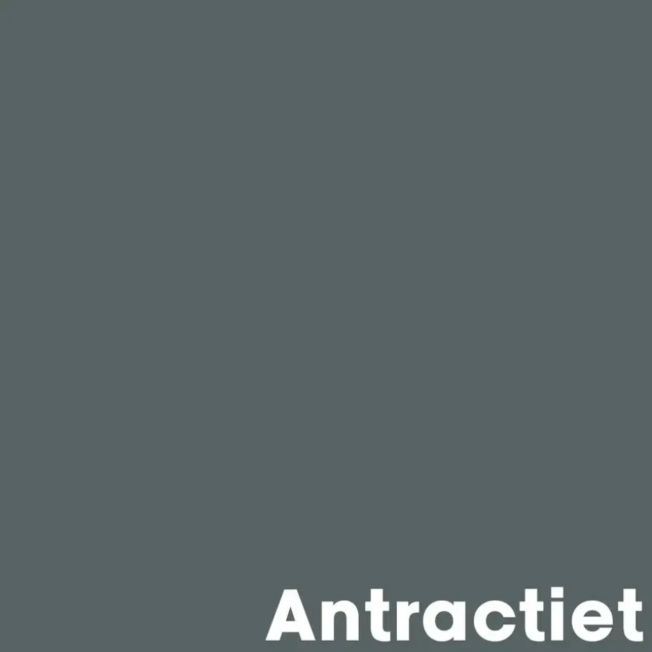 Muurverf Mat Antraciet 1 l