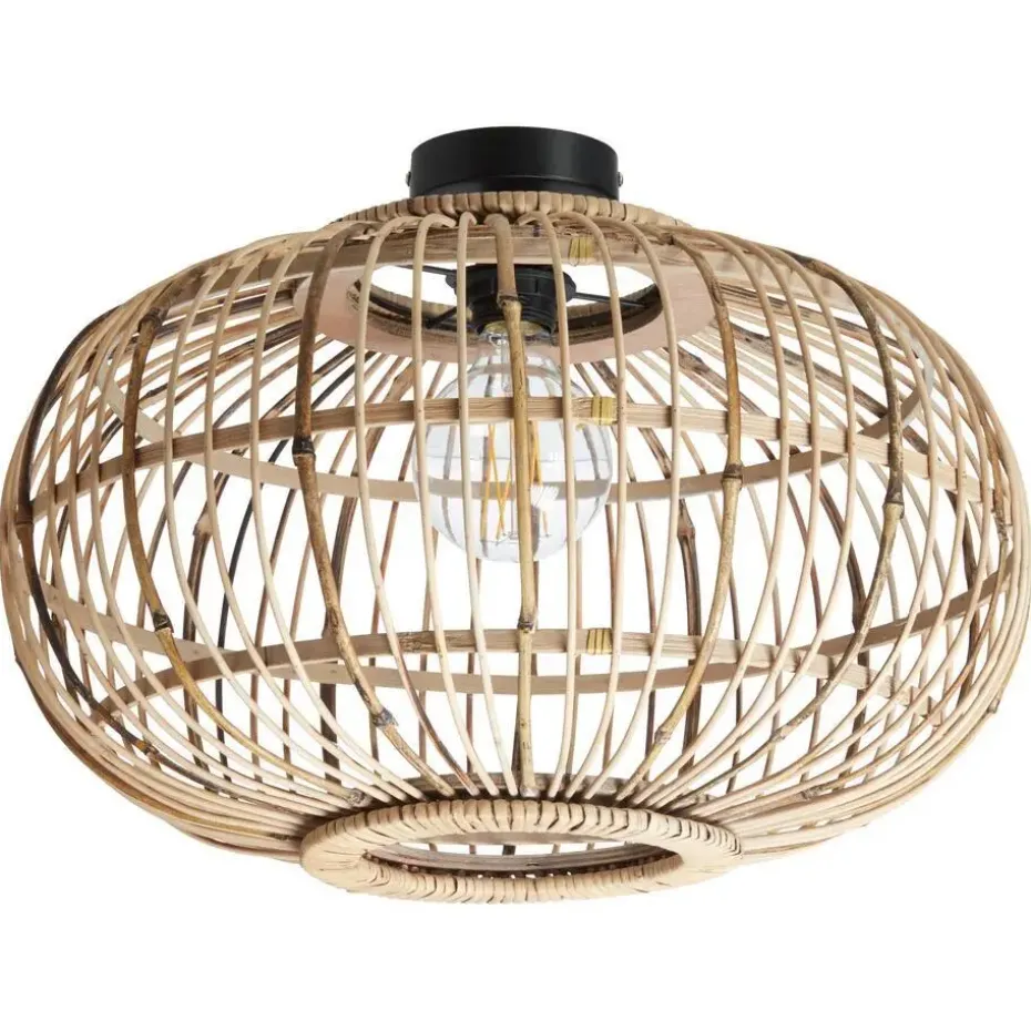 Plafondlamp Boreas
