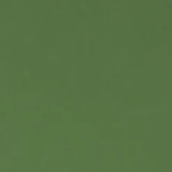 ROLGORDIJN GUS GROEN