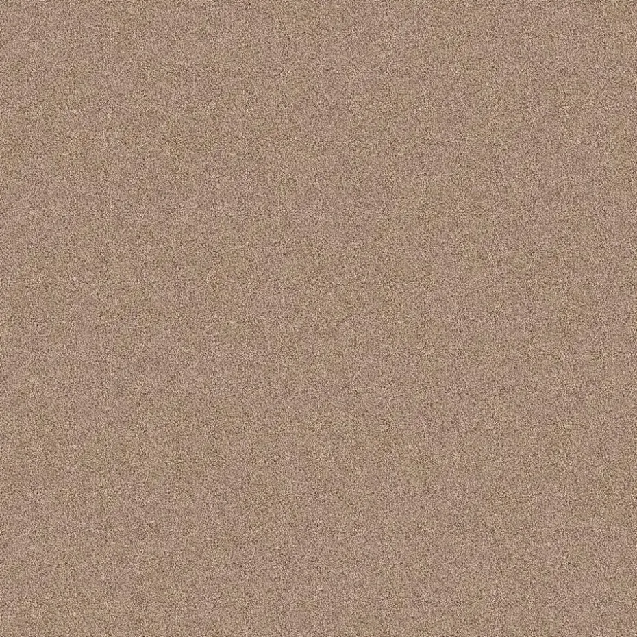 Staal Tapijt Cornell Beige