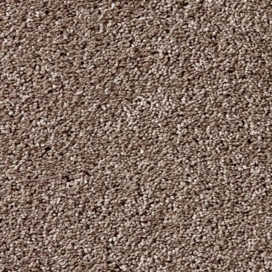 Staal Tapijt Leetsdale Beige