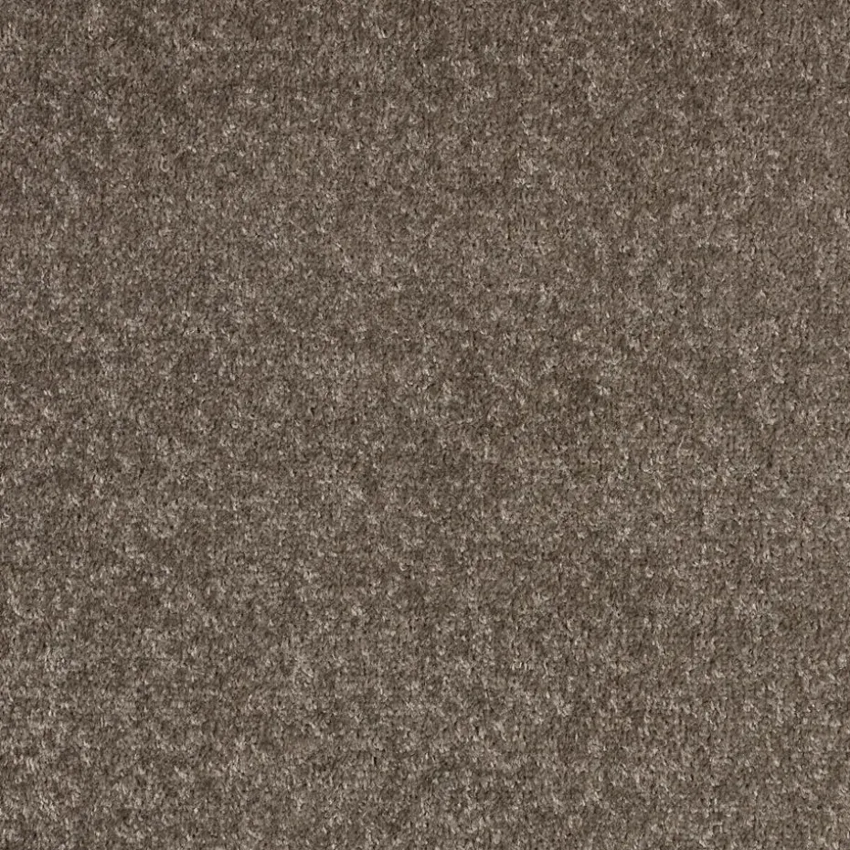 Staal Tapijt Parker Taupe