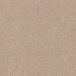 Staal Tapijt Peetz Beige