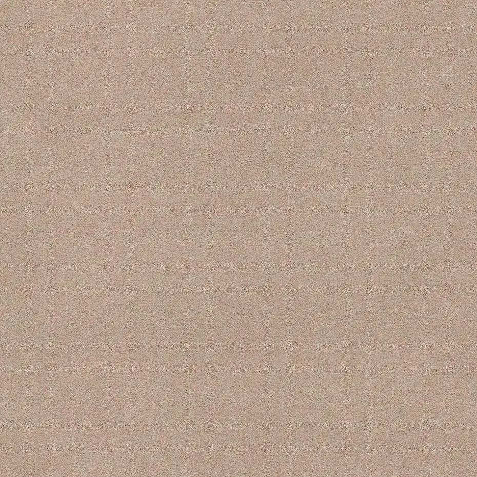 Staal Tapijt Peetz Beige