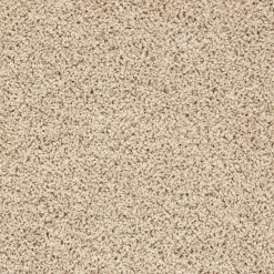 Tapijt Anamosa Beige