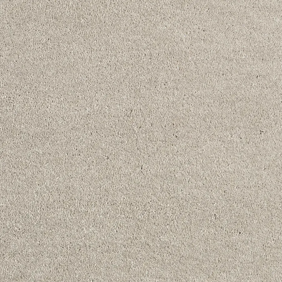 Tapijt Canora Beige