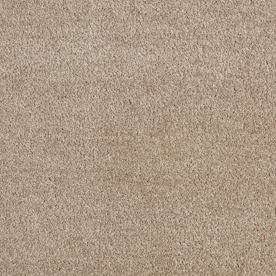 Tapijt Chard Beige